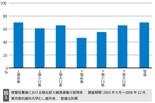 根管処置歯における根尖部X線透過像の発現率グラフ