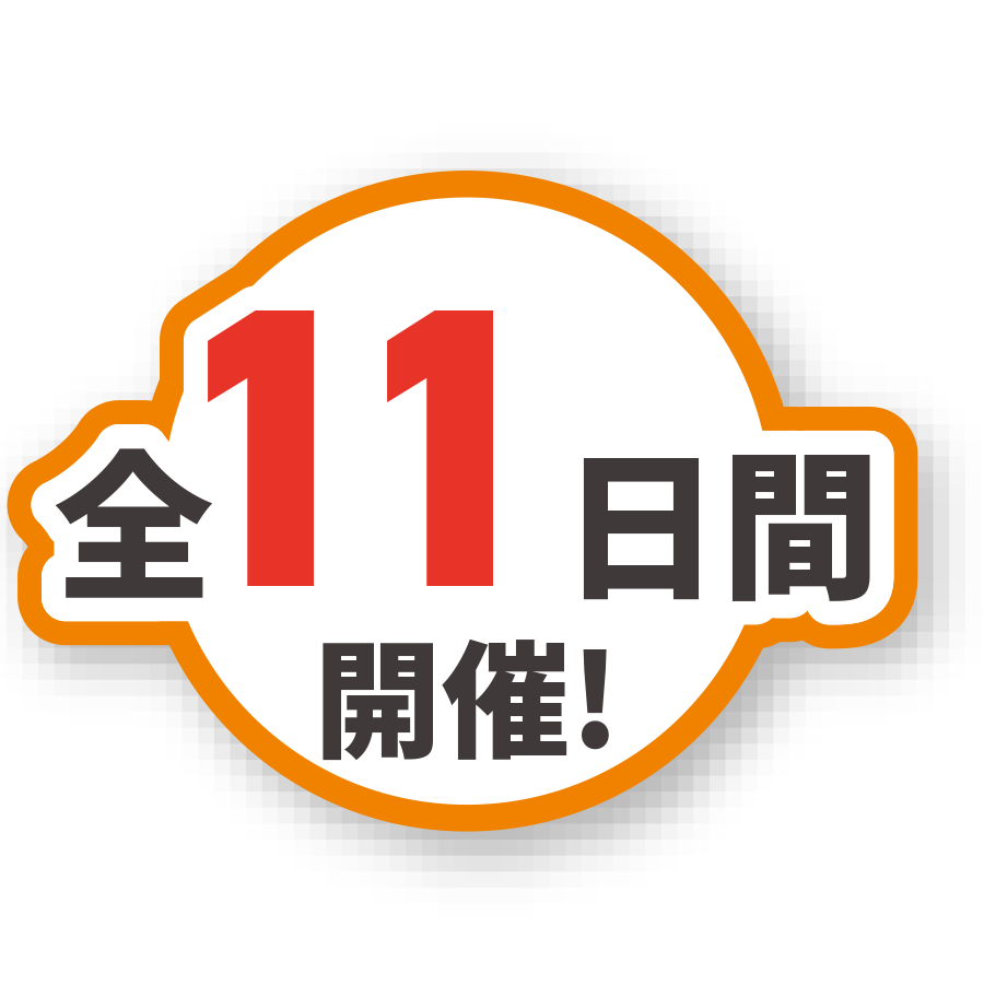 11日間